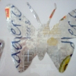 Motýl - Krušovice 2
