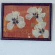 Obrázky z laminovaných květů