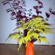 Váza Panzani extra bolognese - nabarvená v interieru